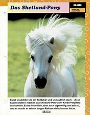 Shetland pony infokarte gebraucht kaufen Shetland pony infokarte gebraucht kaufen  Berlin