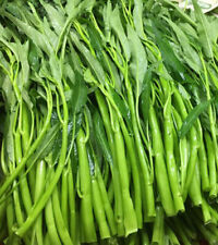 Thai water spinach for sale  El Monte