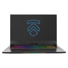 Notebook para jogos leve Eluktronics MAX-17 17,3", Intel i7 9750H, GTX 1660 ti comprar usado  Enviando para Brazil