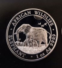 Somalia elefant 2022 gebraucht kaufen  Schöneiche