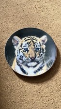 Princeton gallery tiger for sale  BICESTER