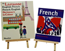 Livro de idiomas Larousse dicionário inglês francês colorido e francês para iniciantes comprar usado  Enviando para Brazil