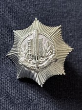 Netherlands police visor for sale  FAREHAM