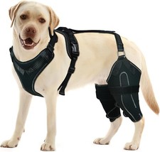 Lispoo dog acl for sale  Charlotte