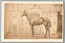 Cdv 1865 pur d'occasion  Viry-Châtillon