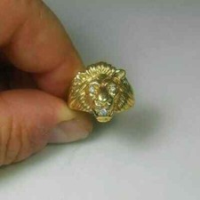 lion head male for sale lion head male for sale Jamaica