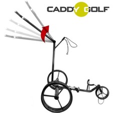 Ecarbon caddy golf usato  Spedire a Italy