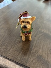 Yorkie terrier dog for sale  Pasadena