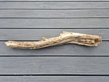Xxl treibholz schwemmholz gebraucht kaufen  Ellwangen (Jagst)