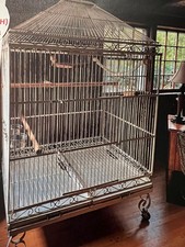 Parrot macaw bird for sale  Saint James
