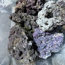 Caribsea aquatics life for sale  ROSSENDALE