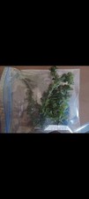 Aquatop greens gor for sale  Trenton