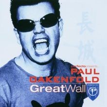 Great wall perfecto gebraucht kaufen  Berlin