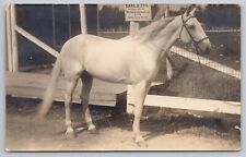 Cartão postal não publicado 1920s RPPC Guideless Wonder Pacer EARL JR. Race Horse Champion, usado comprar usado  Enviando para Brazil