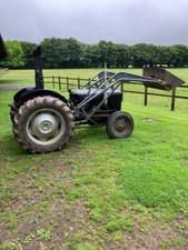 Ferguson used tractor for sale  MINEHEAD