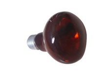 Lampada riscaldante infrarossi usato  Bassano del Grappa