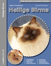 Traumkatze heilige birma gebraucht kaufen  Berlin