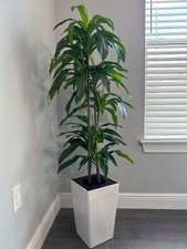 Artificial dracaena tree for sale  USA