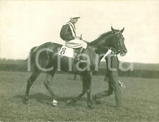 1930 berlin ippica usato  Milano