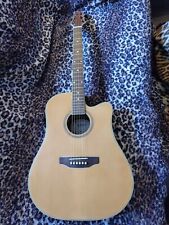 Ashton acoustic guitar for sale  ATHERSTONE
