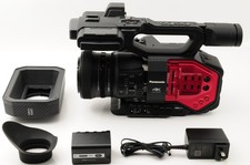 Videocamera professionale ore usato  Spedire a Italy
