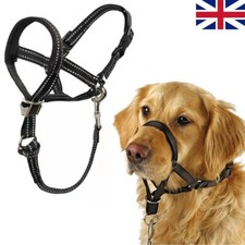 Halti headcollar non for sale  UK