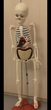 billy bones skeleton for sale billy bones skeleton for sale NORTHAMPTON