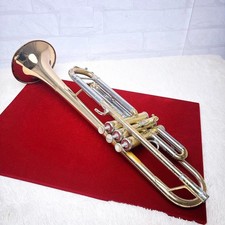 trompete custom comprar usado  Enviando para Brazil