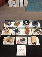 Princeton gallery playful for sale  Charlotte