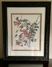 John james audubon for sale  Austin
