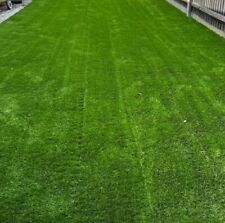 Artificial grass. 50mm for sale  CARSHALTON
