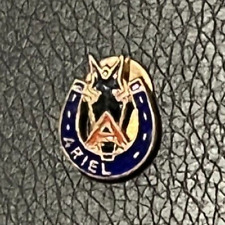 Motorcycle lapel badge for sale  TWICKENHAM