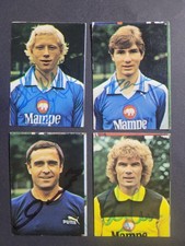 Hertha bsc americana gebraucht kaufen  Langweid a.Lech