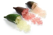 Finger lime seeds for sale  Carriere