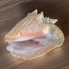 Large pink queen for sale  Burlington