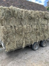Small hay bales for sale  GILLINGHAM