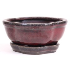 Bonsai schale val gebraucht kaufen  Heinsberg