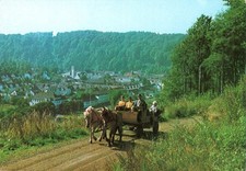 moritz gebraucht kaufen moritz gebraucht kaufen  Greifswald-Eldena