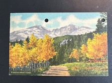 Ansichtskarte postkarte long gebraucht kaufen  Krefeld