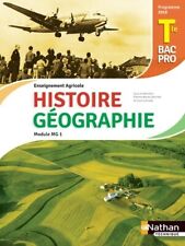 Histoire géographie terminale d'occasion  Hennebont