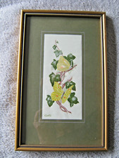 Cash coventry silk for sale  LEICESTER