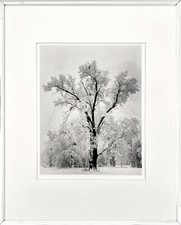 Ansel adams yosemite for sale  Ojai