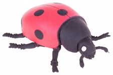 Używany, Biedronka z groszkiem 9cm A141B-DB na sprzedaż  PL