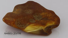 German butterscotch raw for sale  RICHMOND