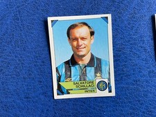 Panini calciatori 1993 usato  Canelli