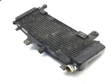 Radiatore storto yamaha usato  Viareggio
