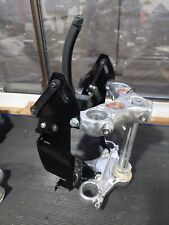 Fxdxt tsport trees for sale  Capay