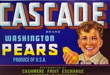 Cascade pears fruit for sale  Collingswood