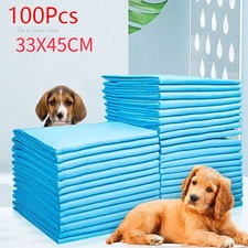 100 large puppy for sale  DUNSTABLE