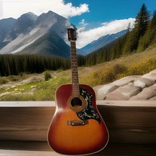 Vintage 1970 gibson for sale  West Newton